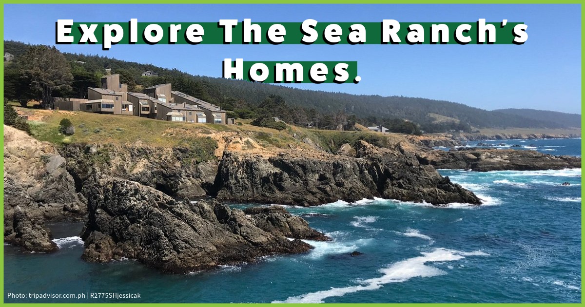 THE SEA RANCH